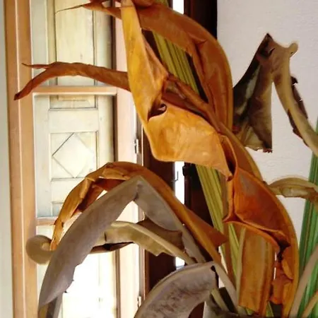 Marvelous Tuscany +Ac+Panorama Apartment Pitigliano